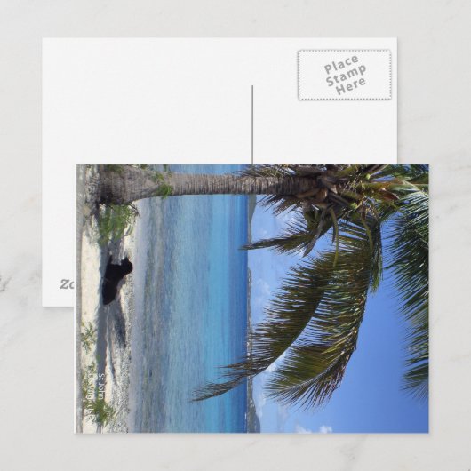 Elaine's hond in St. John, USVI Briefkaart (Voorkant / Achterkant)