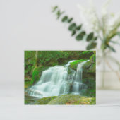 Elakala Falls #2, West Virginia Briefkaart (Staand voorkant)