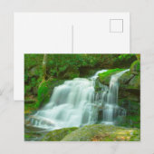 Elakala Falls #2, West Virginia Briefkaart (Voorkant / Achterkant)
