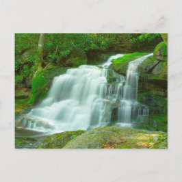 Elakala Falls #2, West Virginia Briefkaart