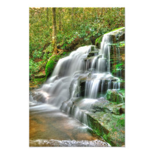Elakala Herfsten #2 (Shays Run), West Virginia Foto Afdruk