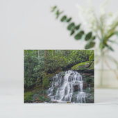Elakala Herfsten #2, West Virginia Briefkaart (Staand voorkant)