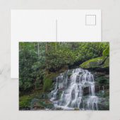 Elakala Herfsten #2, West Virginia Briefkaart (Voorkant / Achterkant)