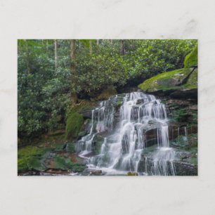Elakala Herfsten #2, West Virginia Briefkaart