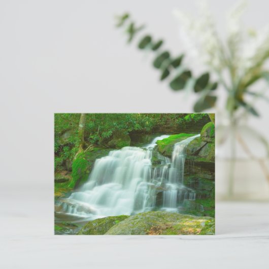 Elakala Herfsten #2, West Virginia Briefkaart (Staand voorkant)