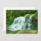 Elakala Herfsten #2, West Virginia Briefkaart (Voorkant / Achterkant)