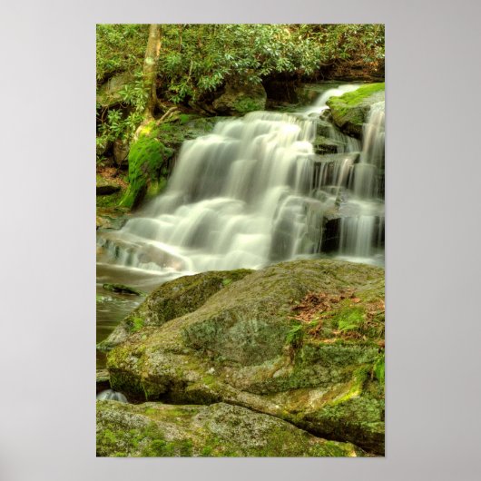 Elakala Herfsten #2, West Virginia Poster (Voorkant)