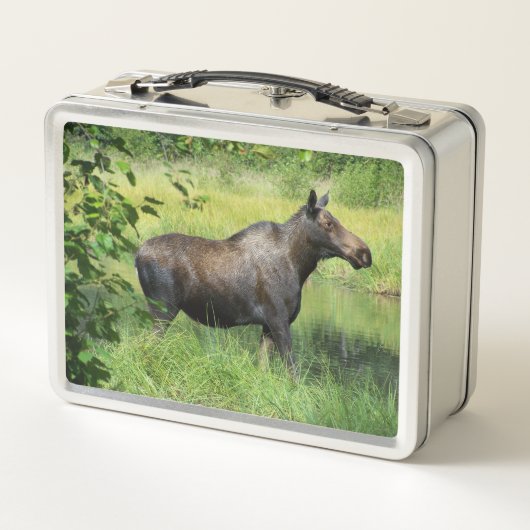 Eland (Achterkant)