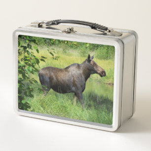Eland