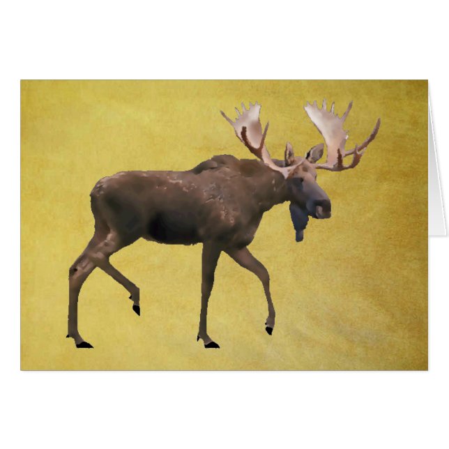 Eland (Voorkant Horizontaal)