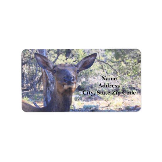 Eland Adreslabels Etiket (Voorkant)