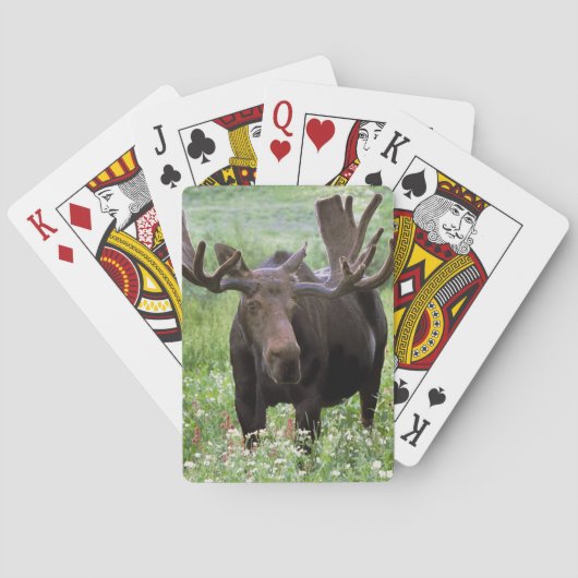 Eland (Alces alces) in veldbloemen, Speelkaarten (Achterkant)