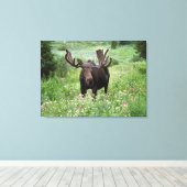 Eland (Alces alces) in wilde bloemen, Canvas Afdruk (Insitu (Houten vloer))