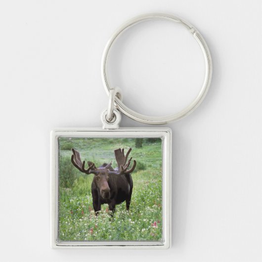 Eland (Alces alces) in wilde bloemen, Sleutelhanger (Voorkant)
