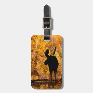 Eland (Alces Alces) stier in gouden wilgen 2 Bagagelabel