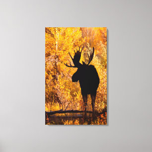 Eland (Alces Alces) Stier In Gouden Wilgen 2 Canvas Afdruk