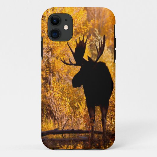 Eland (Alces Alces) stier in gouden wilgen 2 Case-Mate iPhone Case (Achterkant)