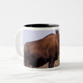 eland, Alces alces, stier met groot gewei Tweekleurige Koffiemok (Voorkant links)
