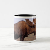 eland, Alces alces, stier met groot gewei Tweekleurige Koffiemok (Center)