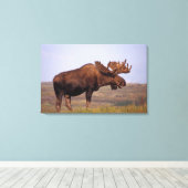 eland, Alces alces, stier met grote gewei Canvas Afdruk (Insitu (Houten vloer))