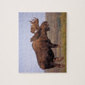 eland, Alces alces, stier met grote gewei Legpuzzel (Verticaal)