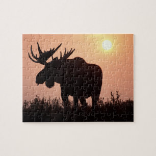 eland, Alces alces, stier met grote gewei, Legpuzzel