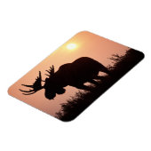 eland, Alces alces, stier met grote gewei, Magneet (Linkerzijde)