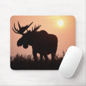 eland, Alces alces, stier met grote gewei, Muismat (Met muis)