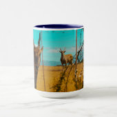 Eland Antelope Animal Zuid-Afrika ZA Mok (Midden)