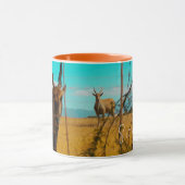 Eland Antelope Animal Zuid-Afrika ZA Mok (Midden)