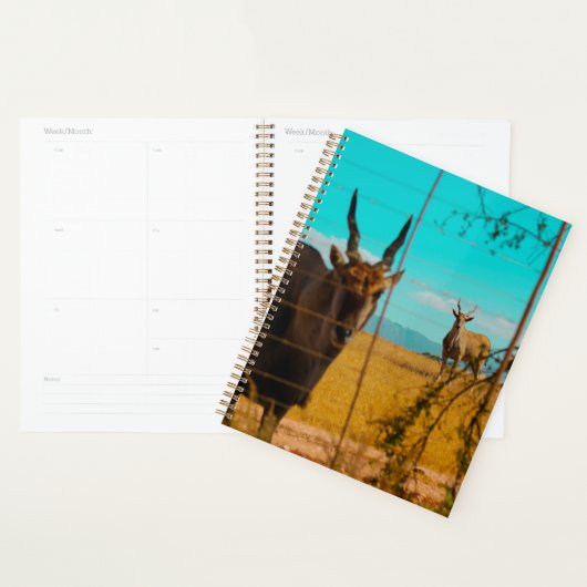 Eland Antelope Animal Zuid-Afrika ZA Planner (Display)