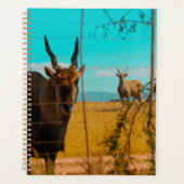Eland Antelope Animal Zuid-Afrika ZA Planner (Voorkant)