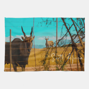 Eland Antelope Animal Zuid-Afrika ZA Theedoek