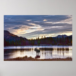 Eland bij Sprague Lake, Colorado Poster