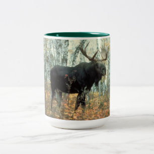 Eland Bos Bomen Park Dier Wilde Dieren Kunst Tweekleurige Koffiemok