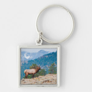 Eland (Cervus Elephus) mannetje burlen Sleutelhanger