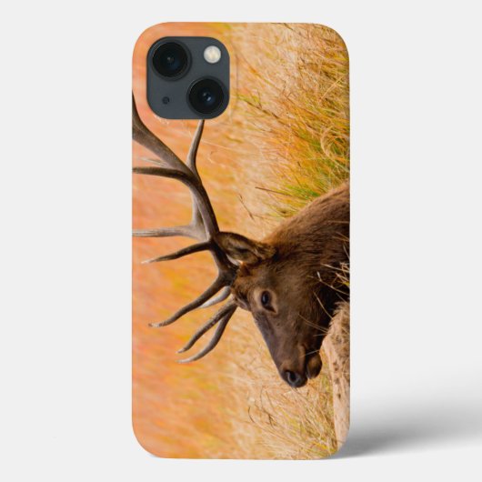 Eland (Cervus Elephus) Rustend In Weiland Gras Case-Mate iPhone Case (Achterkant)