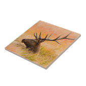 Eland (Cervus Elephus) Rustend In Weiland Gras Tegeltje (Zijkant)