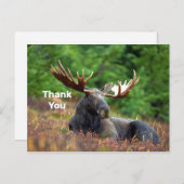 Eland Dank U Ansichtkaart Briefkaart (Voorkant / Achterkant)