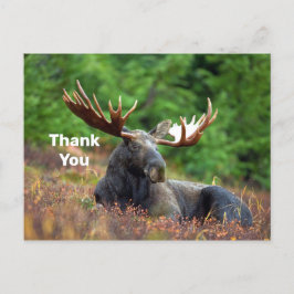 Eland Dankjewellanskaart Briefkaart
