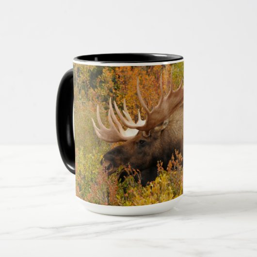 Eland | Denali National Park, Alaska Mok (Voorkant links)