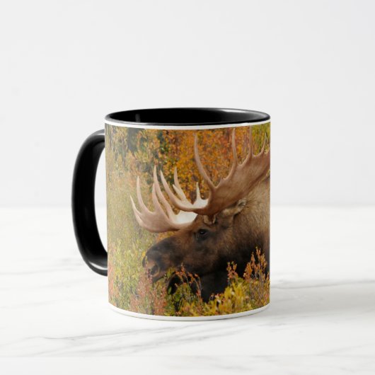 Eland | Denali National Park, Alaska Mok (Voorkant links)