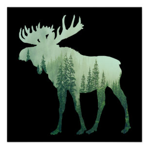 Eland Herten En Bos Natuur Perfect Poster