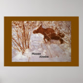 Eland in Alaska Poster (Voorkant)