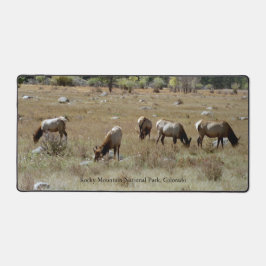 Eland in Rocky Mountain National Park bureaumat