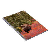 Eland in Rode Dwergberk Staand Notitieboek (Rechterzijde)