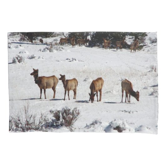 Eland in sloopkussenhoes kussensloop (Voorkant)