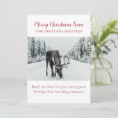 Eland In Sneeuw Natuur Kerstkaart (Staand voorkant)