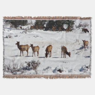 Eland in sneeuw werp deken