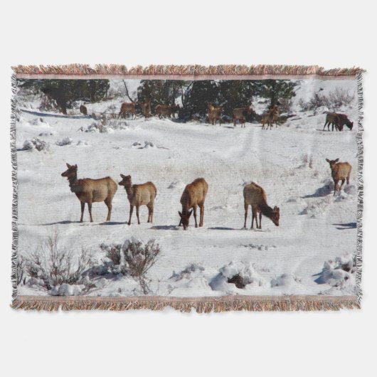Eland in sneeuw werp deken (Voorkant)